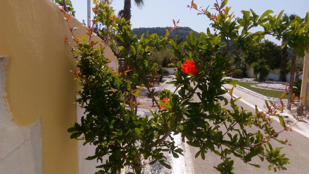 Apartamento Mosaic Gardens Faliraki Exterior foto
